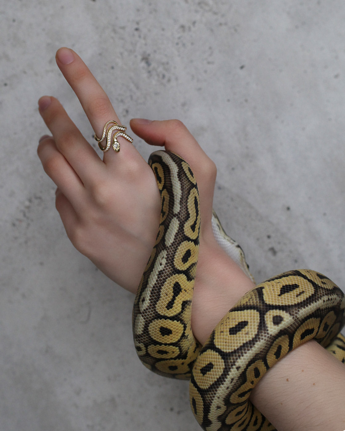 Diamond Snake Ring in 18K Yellow Gold